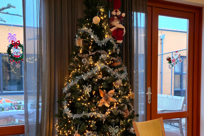 Zuyder Waert feestelijk aangekleed dankzij Intratuin Heerhugowaard