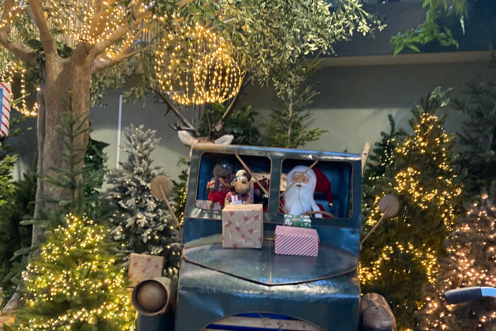 Zuyder Waert feestelijk aangekleed dankzij Intratuin Heerhugowaard