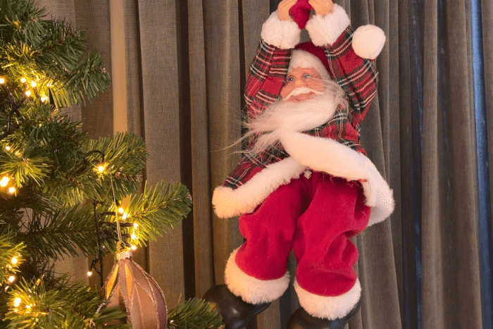 Zuyder Waert feestelijk aangekleed dankzij Intratuin Heerhugowaard