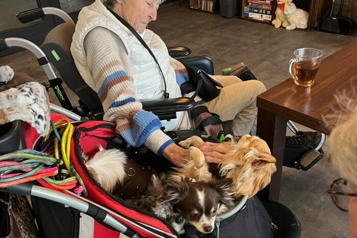 Zondag middag is hondjes middag