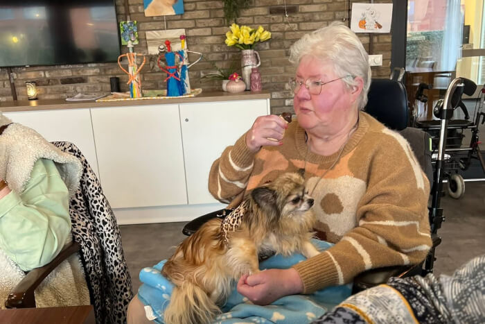 Zondag middag is hondjes middag