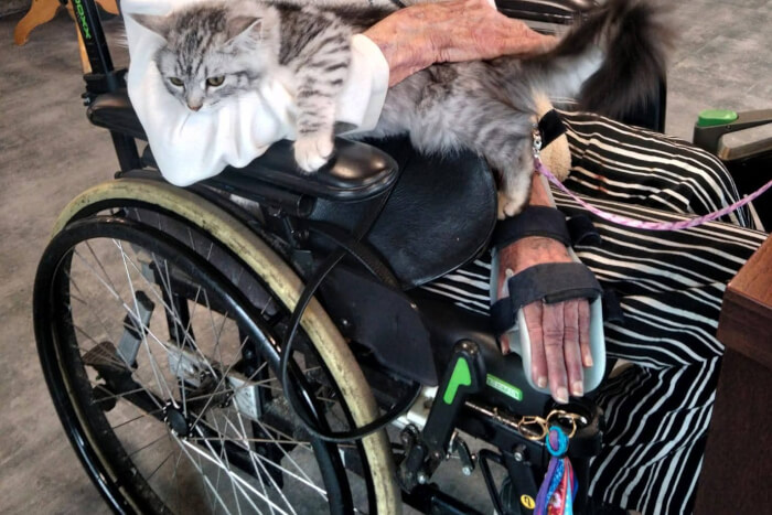 Zima en Lenka kwamen op visite