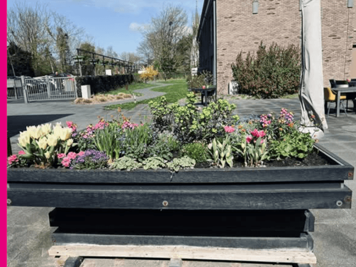Plantenbak Oudorperzand